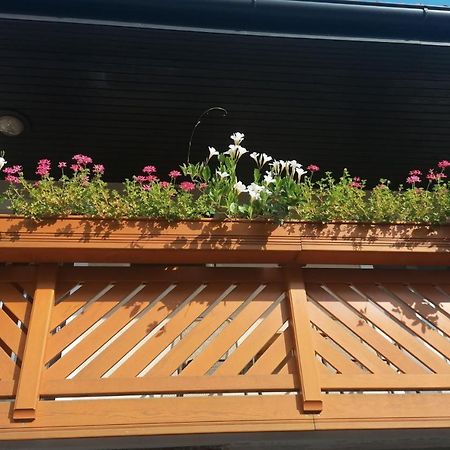 Apartmaji Valter Srpenica Bagian luar foto